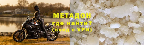 прущие грибы Губаха