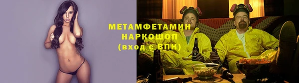 твердый Грязовец