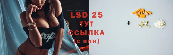 прущие грибы Губаха