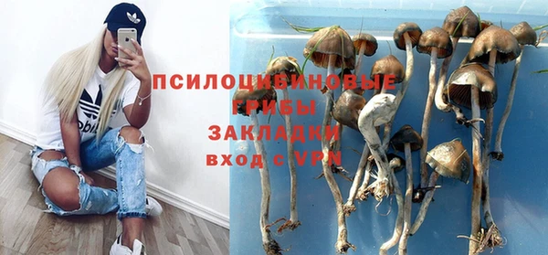 а пвп мука Пересвет